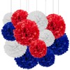ZYOOO 12pcs Red White Blue Tissue Paper Pom Poms,Hanging Patriotic