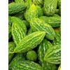 Chicsonabudget Bitter Melon Bitter Gourd Seeds| 5 seeds| USA