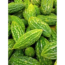 Chicsonabudget Bitter Melon Bitter Gourd Seeds| 5 seeds| USA