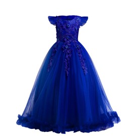 Girls Lace Bridesmaid Dress Long A Line Wedding Pageant Dresses Tulle Party Gown Age 3-16Y Royal Blue 5-6 Years