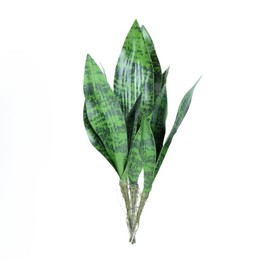 XZJMY Artificial Snake Plants 3Pcs Faux Sansevieria Plant Faux Silk Agave,3 Sizes Greenery Plants UV & Fade,Waterproof for Home Office Garden Decor Indoor Outdoor (Green)