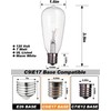 Adirxon 10-Pack ST40 Light Bulbs for Outdoor String Lights, Durable