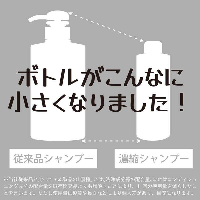 BISOU BISOU Volume Up Type Elegant Fruity Shampoo 7.8 fl