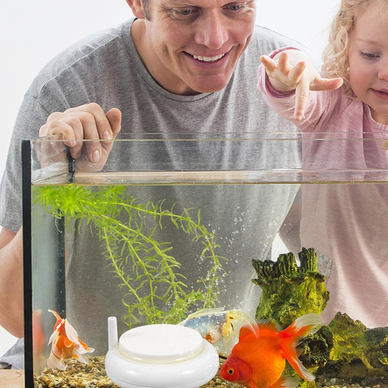 GRIRIW Aquarium Disc for Betta Fish Tank Oxygen Air Stone