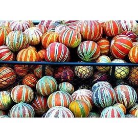 CZ GRAIN 10 Rare Tiger Melon Seeds Exotic Garden Fruit Seeds to Plant
