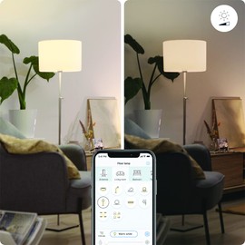 WiZ Tunable White and Color Imageo 1er LED Spot (345 lm), LED Leuchte mit 16 Mio. Farben oder warm- bis kaltweißem dimmbarem Licht, smarte Lichtsteuerung über WLAN per Stimme/App, schwarz