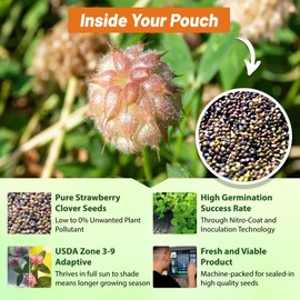 Outsidepride Perennial Strawberry Clover Seed 5 lbs - Large-Leaved, Drought-Resistant, Easy to Grow Clover Ground Cover Seeds - Ideal for Pasture, Hay, Alternative Crops, Farming, & Erosion Control