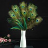 FFDHWU 25 Pieces Of Peacock Feathers, Home Decoration, Diy Handicraft