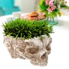 Innovative Resin Skull shaped Flower Pot Succulent Planter Holder Ornament