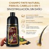 Kaisasa Shampoo Con Tinte Cubre Canas Matizador 2 Pzs