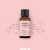 Sweet Almond 1. Cold Pressure - 100% Pure and Natural
