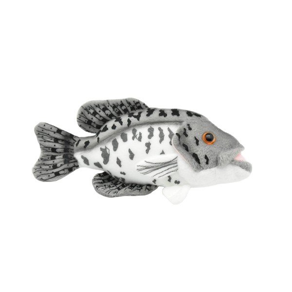 Black Crappie, Realistic, Lifelike, Very Nice Plush Fish 7" F4602