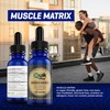 Imix Nutrition QuikPlus Muscle Matrix - Ionic Liquid Mineral Supplement,