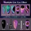 MIZHSE 9D Cat Eye Gel Nail Polish 2 Pcs, Chameleon