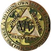 RecoveryChip 14 Year AA Medallion Reflex Camo Gold Plated Camouflage Color Chip XIV