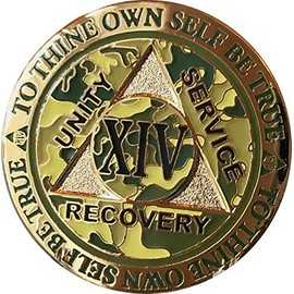 RecoveryChip 14 Year AA Medallion Reflex Camo Gold Plated Camouflage Color Chip XIV
