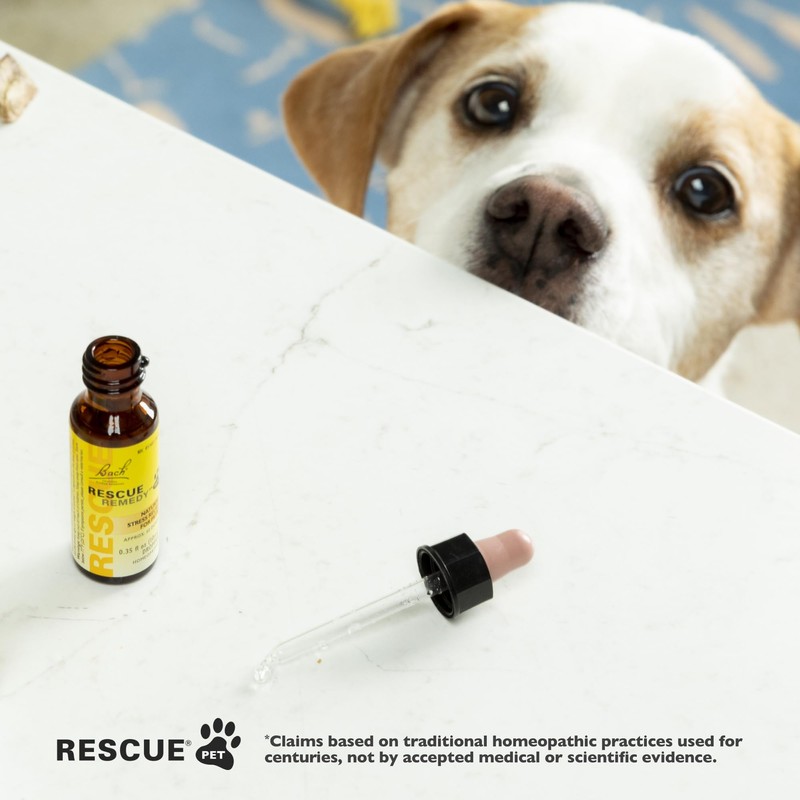 Bach Rescue Remedy Pet Dropper - 20mL, Pack of 2