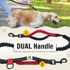 Hundefreund Hands Free Dog Leash for Medium and Large Dogs