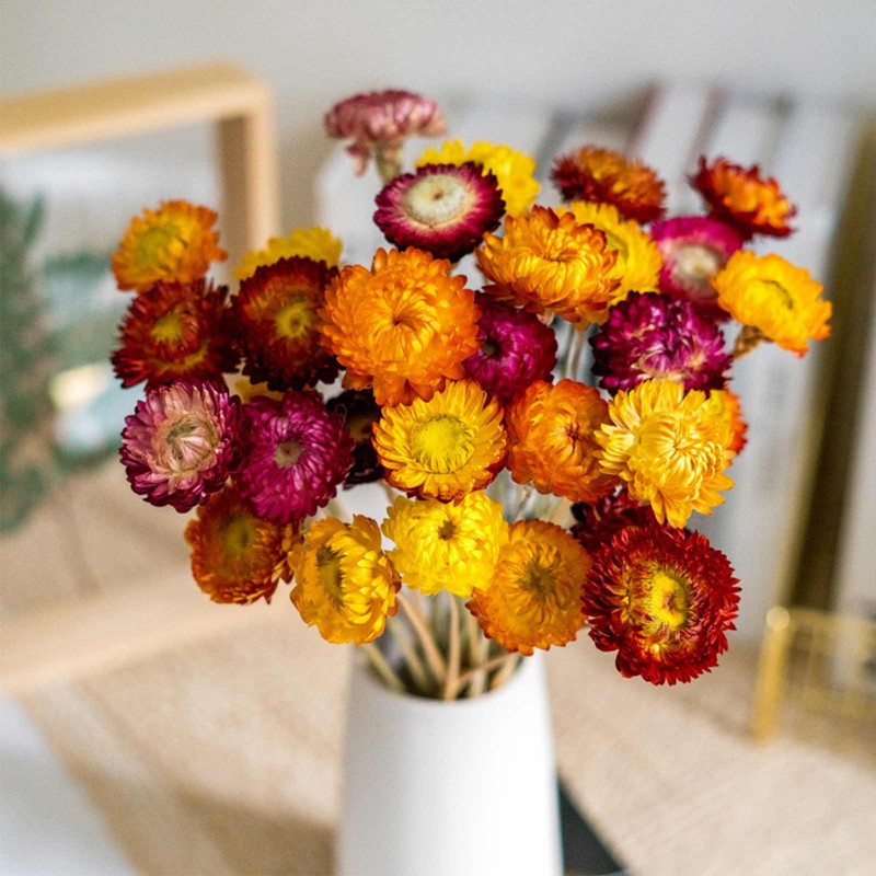 Pack of 30-40 dried flower heads for wedding and autumn