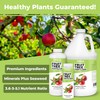 TPS NUTRIENTS Fruit Tree Fertilizer for All Fruit Trees Peach,