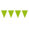 Bunting XL Green 10 metres long, 15 Triangle Flags, Plastic