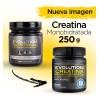 Evolution Monohidrato De Creatina Bote 250 Gramos Sin Sabor Sabor