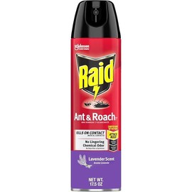 Raid Ant & Roach Killer Spray for Listed Bugs, Keeps Killing for Weeks, Lavender Scent, 17.5 oz - Style: Lavender, Size: 17.5 Fl Oz (Pack of 1)