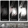 DAYBETTER 12 Pack Vintage LED Edison Bulbs, E26 Led Bulb