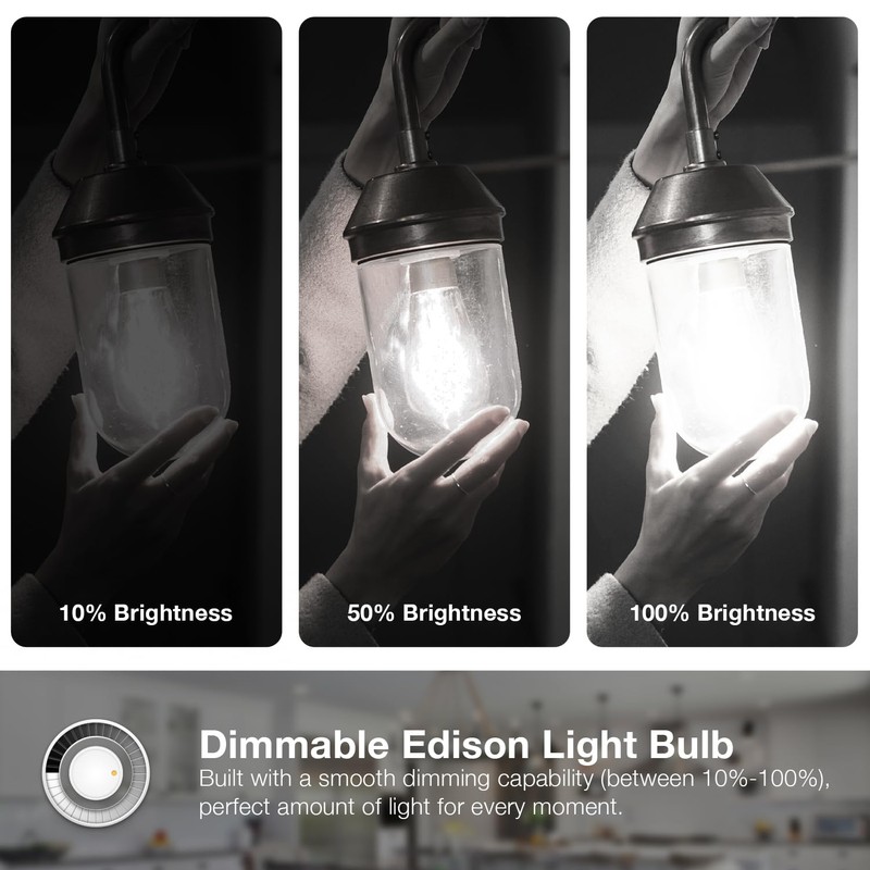 DAYBETTER 12 Pack Vintage LED Edison Bulbs, E26 Led Bulb