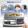Industrial Counting Scale 66lb/30kg x 0.5g Digital Inventory Scale for