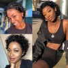 Short Curly Human Hair Wigs for Black Women Pixie Cut