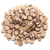 LAZACA Small Wood Slices Crafts Cookies Log Rounds 100Pcs 1.5-2.5cm