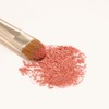 THE TOOL LAB 226 Eye Shadow Brush, Blending Brush, Liner,