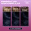 Clairol Bold & Bright Permanent Hair Dye, 28 Wild Blackberry