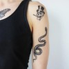Snake - Blackwork Temporary Tattoo Snake Traditional Black