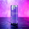 Red Bull The Spring Edition Early Launch - Flavour: Regular