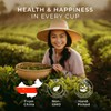 Gya Tea Co Jasmine Tea Pod (16 ct) - Mildly