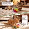 Interactive Cat Toys, Hanging Toys for Doorway for Indoor Cats