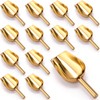 Roshtia 12 Pcs Gold Ice Scoops Stainless Steel Mini Scoop