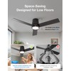 warmiplanet 42 Inch Small Ceiling Fan with Lights and Remote,