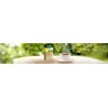 Greenfield Camomile Meadow Herbal Tea Fruit & Herbal Collection 25