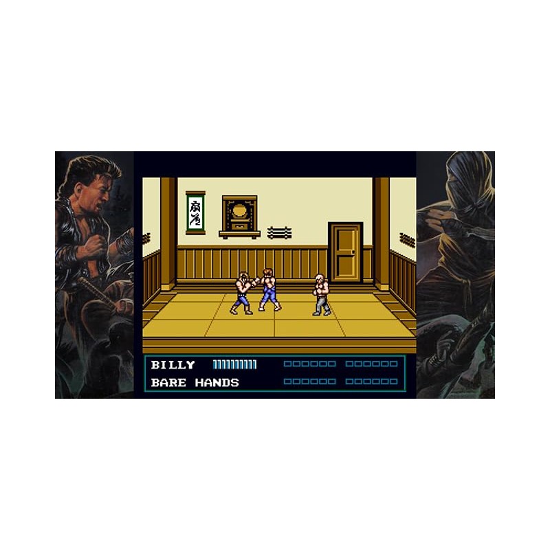 Double Dragon Collection