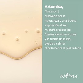 ISNTREE Ampolla Facial Mugwort Calming Ampoule - Coreana con Artemisa Mugwort de Ganghwa, Calmante para Piel Sensible, Barrera, 50 ml