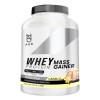 Suplemento Polvo Psn Whey Protein Mass Gainer 8kg Vainilla