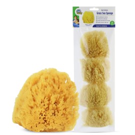Baby Buddy Natural Grass Sea Sponge, Newborn Bath Time Essential, Textured for Exfoliation, Hypoallergenic, 4 Count