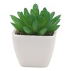 6PCS Potted Artificial Succulents Artificial Plants in Pots Plastic Fake