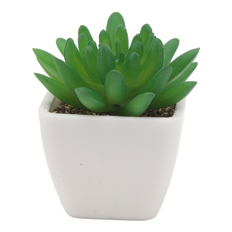 6PCS Potted Artificial Succulents Artificial Plants in Pots Plastic Fake