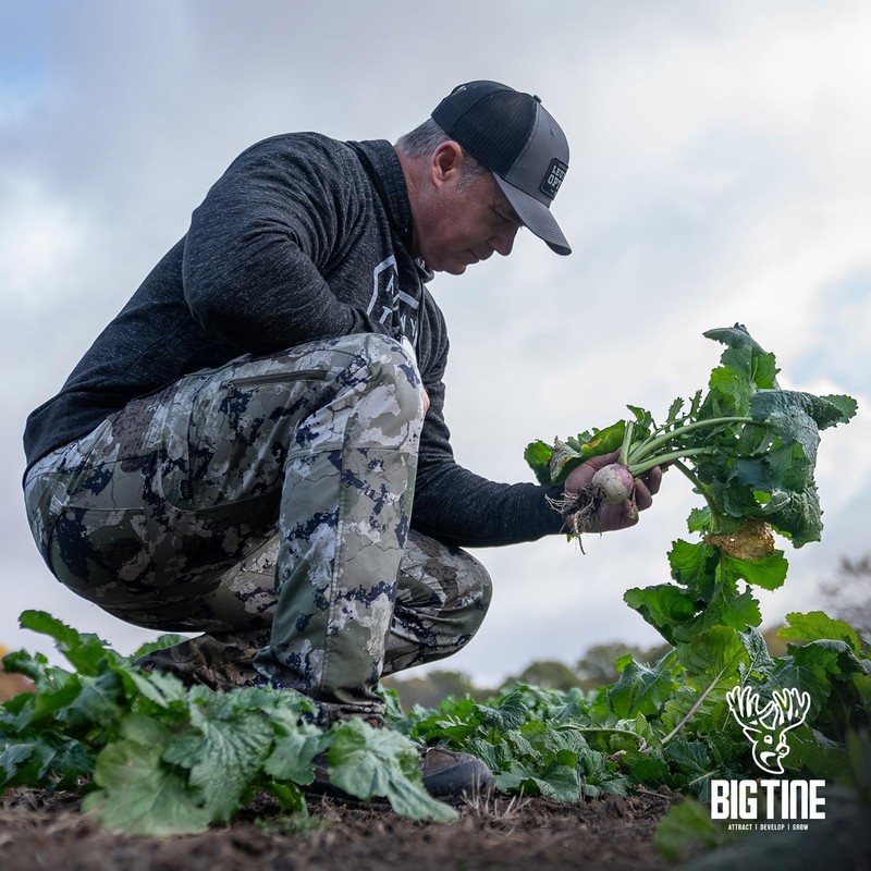 Big Tine Food Plot Mix, Advantage Turnips, 3lbs