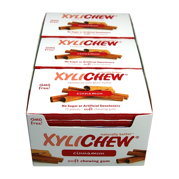 Xylichew 100% Xylitol Chewing Gum - Non GMO, Non Aspartame, Gluten Free, and Sugar Free Gum - Natural Oral Care, Relieves Bad Breath and Dry Mouth - Cinnamon, 288 Count