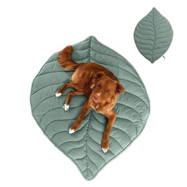 FUNNY FUZZY Dog Blanket Mat for Dogs Cats, 42×56" Leaf Design Pet Blankets Cover Machine Washable Double-Sided for Bed Couch Sofa Floors Furniture Protection, Elm Green